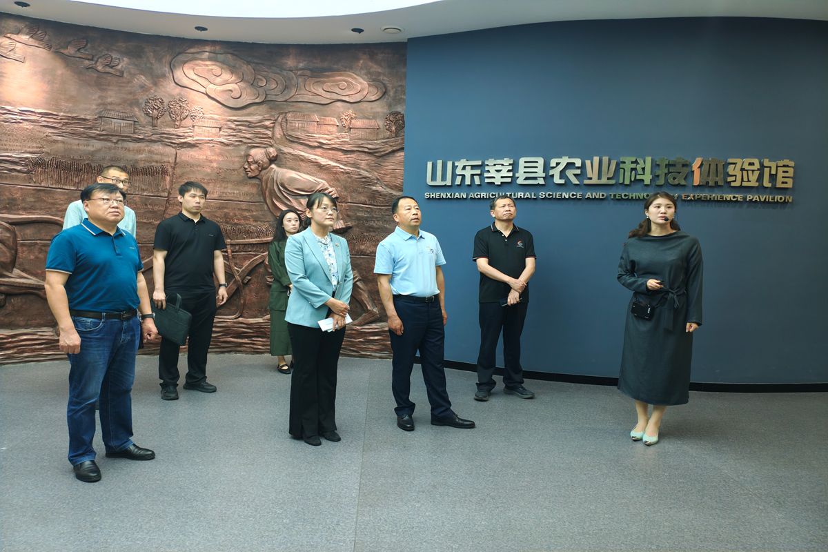 捕鱼达人